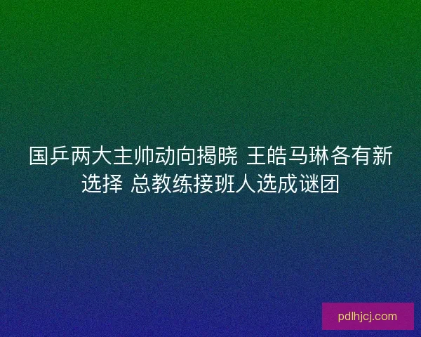 国乒两大主帅动向揭晓 王皓马琳各有新选择 总教练接班人选成谜团
